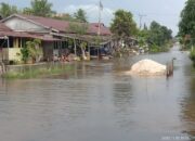 Banjir kembali menerjang Kabupaten Aceh Singkil
