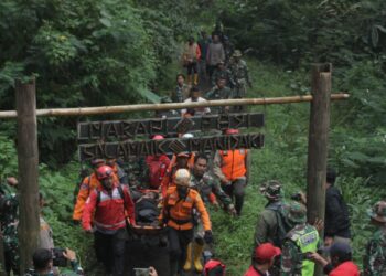 Petugas Gabungan Kembali Berhasil Evakuasi Korban Pendaki Gunung Marapi