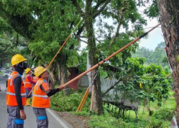 Rampal Pohon Massal  PLN Siapkan Jaringan Andal Jelang Nataru
