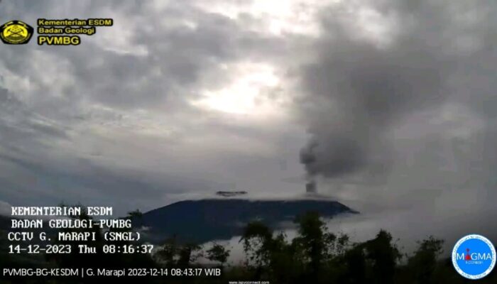 Marapi Kembali Erupsi Pagi Ini,  Ketinggian Kolom Abu Capai 500m
