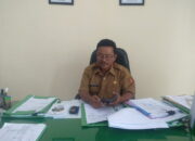 Banyak yang Telah Melebihi Usia Produktif, Masyarakat Agam Diajak Lakukan Peremajaan Kelapa Sawit