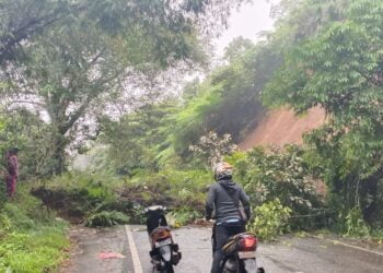 Takut Jadi Temuan BPK, Pemkab Tanah Datar Tak Kirim Personel ke Lokasi Longsor di Tanjung Alam