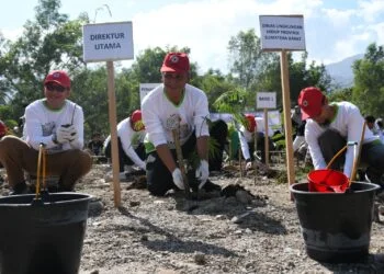 Insan Semen Padang Tanam 2000 Batang Kaliandra Merah