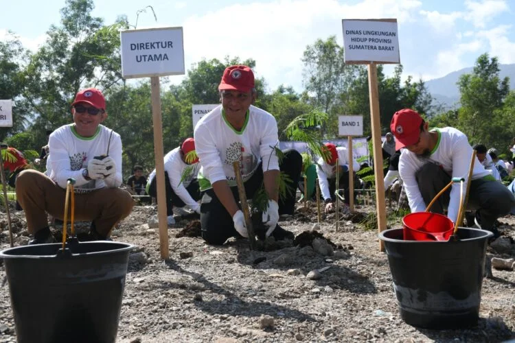 Dirut PT Semen Padang Asri Mukhtar Dt Tumangguang Basa ikut menanam kaliandra merah. IST