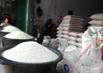 Pemeirntah daerah diminta untuk memperkuat upaya pencapaian swasembada pangan  dengan mengoptimalkan stok cadangan beras.