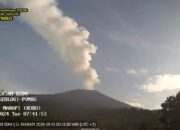 Merapi Naik Level Siaga, Pengamat: Level Tertinggi Sejak Puluhan Tahun