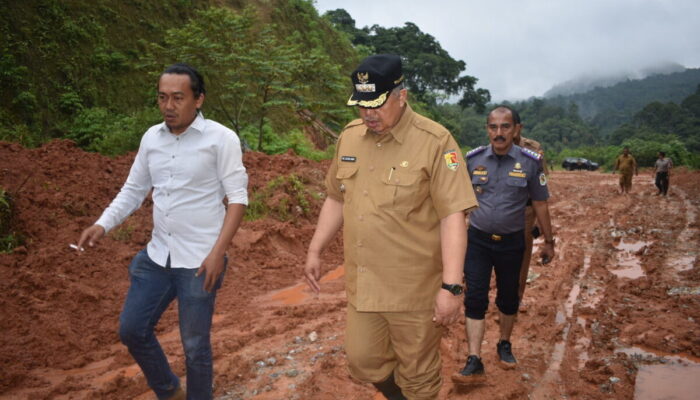 Jalan Menuju SDN17 Kelurahan Laiang Rusak