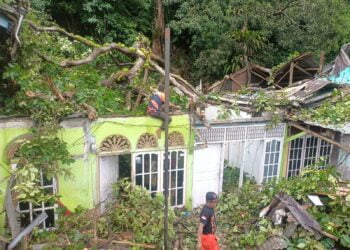 Cuaca Ekstrem, Pohon Tumbang Timpa Empat Rumah di Kota Padang