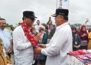 Pemko Solok Terus Inovasi untuk Tingkatkan Produksi Pertanian