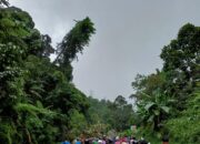 Akibat Longsor dan Pohon Tumbang, Jalinsum Lumpuh Selama dua Jam di Kecamatan Tanjung Gadang