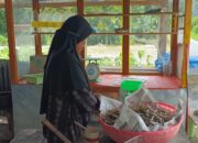 Harga Ikan Bilih Naik, Sampah Sebabkan Berkurangnya Tangkapan