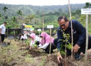 Semen Padang Serahkan Bantuan 16.000 Bibit Kopi Robusta Bantjah