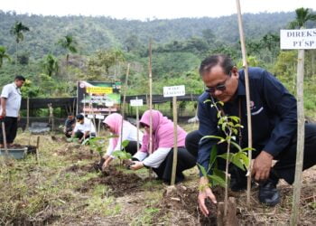 Semen Padang Serahkan Bantuan 16.000 Bibit Kopi Robusta Bantjah