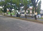 Kasihan, Pohon-Pohon Menuju UNAND Disiksa dengan Poster Caleg