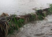 Dua Kecamatan di Kabupaten Solok Diterjang Banjir Bandang