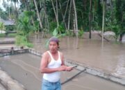 Hujan Deras, Dua Kecamatan di Kabupaten Solok Diterjang Banjir Bandang