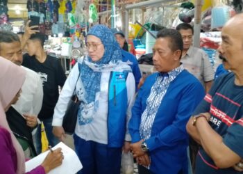 Wasekjen Demokrat Imelda Sari Kunjungi Pasar Raya Kota Solok