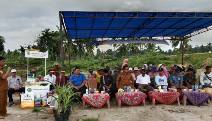 PT GAPS Reklamasi Setelah Tambang Galian C di Sikabu