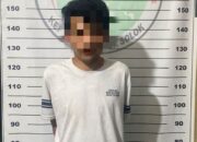 Polres Solok Amankan 23 Batang Ganja di Belakang Rumah Pelaku