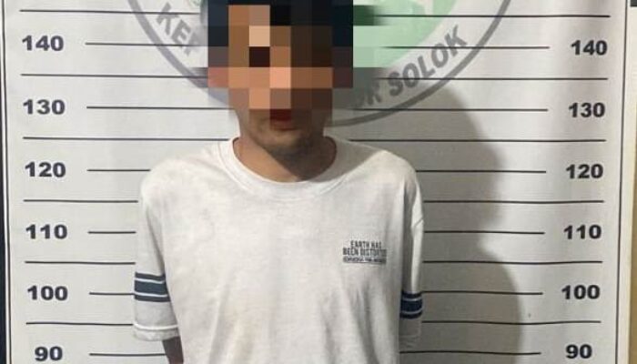 Polres Solok Amankan 23 Batang Ganja di Belakang Rumah Pelaku