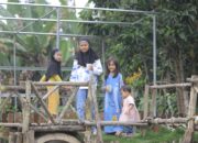 Pengembangan Agrowisata Gerakkan Ekonomi Masyarakat