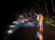 Hujan Terus Berlanjut di Pasbar, Akses Jalan Terputus dan Banjir
