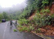Dampak Hujan Deras, Tanah Longsor dan Jalan Amblas Dera Malalak