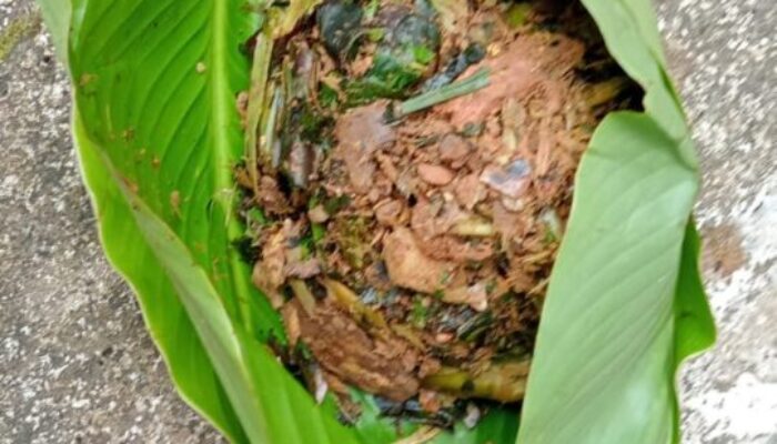 Mengenal Baruik Obat Tradisional Solok