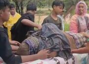 Dampak Banjir dan Longsor di Pessel, 10 Warga Ditemukan Meninggal