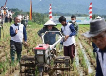 Tanah Datar Gencarkan Program Asuransi Lahan Sawah