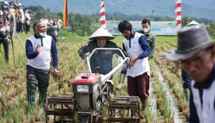 Tanah Datar Gencarkan Program Asuransi Lahan Sawah