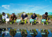 Indosat Optimalkan Teknologi untuk Konservasi Mangrove di Aceh