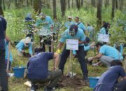 Rayakan HUT ke-18, Finnet Lakukan Program Penanaman Pohon di Cikole