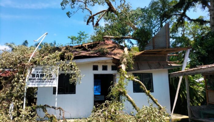 Kantor Bamus Nagari Langgam Sepakat Nyaris Ambruk oleh Pohon Tumbang