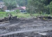Petani di Ampek Angkek Keluhkan Sawah Terendam Banjir, Terancam Gagal Panen