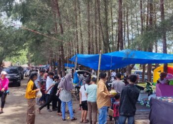 Pesta Pantai Digelar Selama Empat Hari di Pasbar