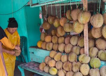 One Way System Diberlakukan, Pedagang Durian Kayu Tanam Mengeluh