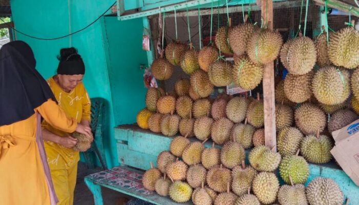One Way System Diberlakukan, Pedagang Durian Kayu Tanam Mengeluh