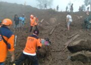 Tanah Longsor Tana Toraja, Tim Gabungan Berhasil Temukan 20 Korban