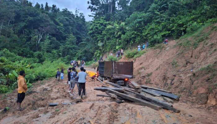 Wana Lestari Hutan Simancuang Solok Selatan Terancam, Warga Tangkap 3 Pelaku Diduga Illegal Logging