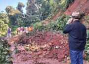 Longsor Hantam Singkarak, Bupati Epyardi Asda: Segera Turunkan Alat Berat