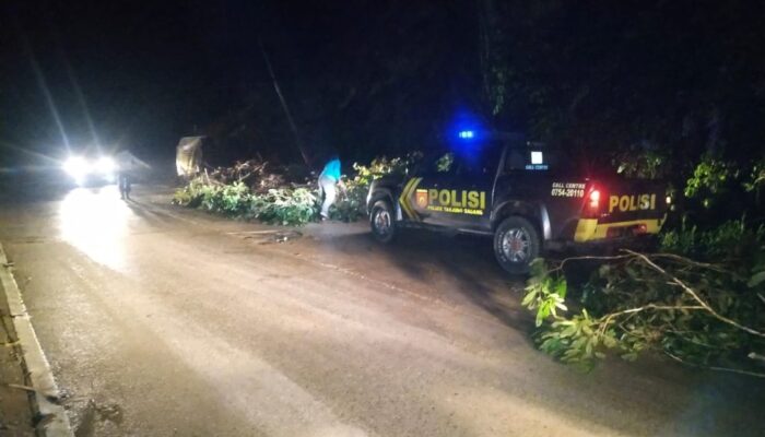 Hujan Lebat Disertai Pohon Tumbang di Kabupaten Sijunjung, Polisi Intensifkan Patroli