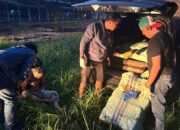 BNN Sumbar Tangkap Oknum Polisi Bawa 141 Kilo Ganja