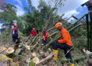 14 Orang Masih Dinyatakan Hilang, PMI Ikut Lakukan Pencarian Korban Banjir Bandang Sumatera Barat