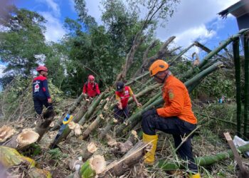 14 Orang Masih Dinyatakan Hilang, PMI Ikut Lakukan Pencarian Korban Banjir Bandang Sumatera Barat