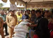 Pemkab Solsel akan Maksimalkan Potensi Perkebunan di SBJ