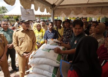 Pemkab Solsel akan Maksimalkan Potensi Perkebunan di SBJ