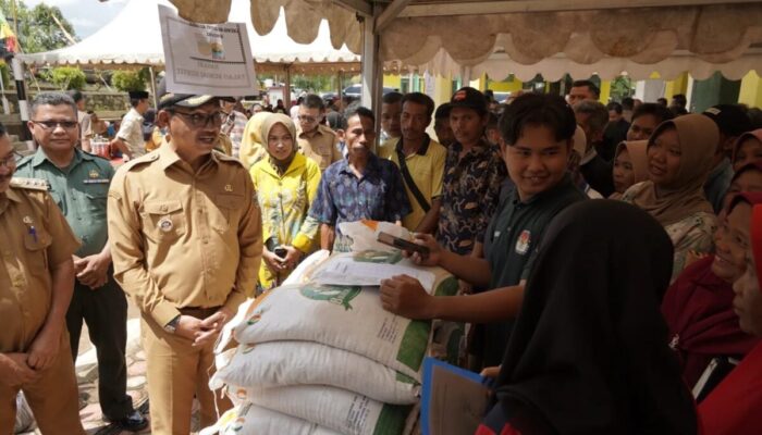 Pemkab Solsel akan Maksimalkan Potensi Perkebunan di SBJ