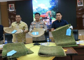 Penambang Emas Ilegal