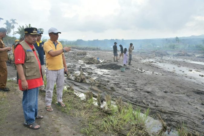 Ratusan Hektare Lahan Pertanian